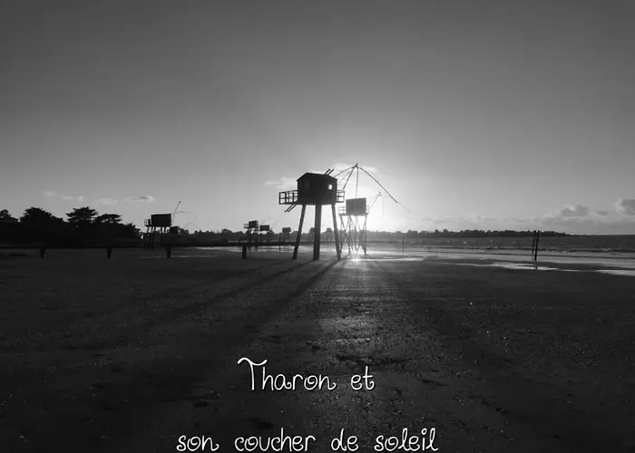 Juste Par Hasard D Hotes Insolites A 140 M De La Saint-Michel-Chef-Chef